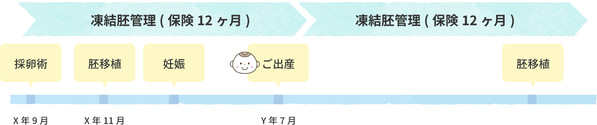 胚凍結導入から移植まで1年以内の場合の凍結胚管理の流れ