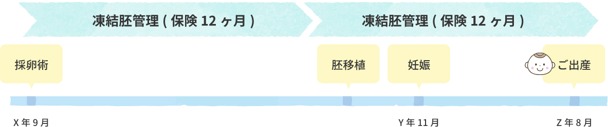 胚凍結導入から移植まで1年以上経過の場合の凍結胚管理の流れ